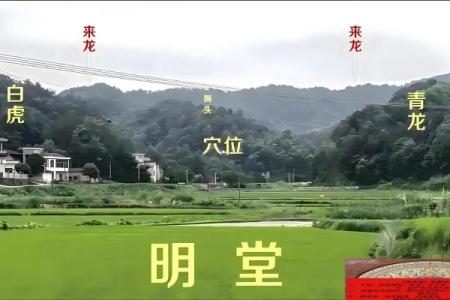 祖坟风水不好的现象