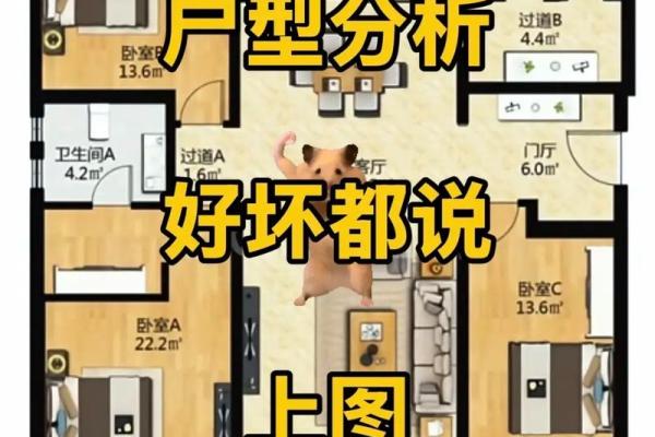 三室的房子风水