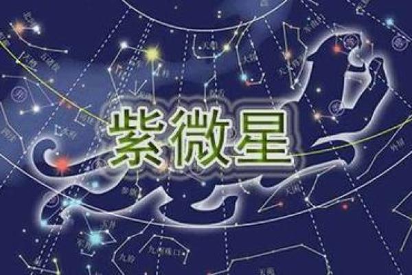 紫薇斗数夫官线