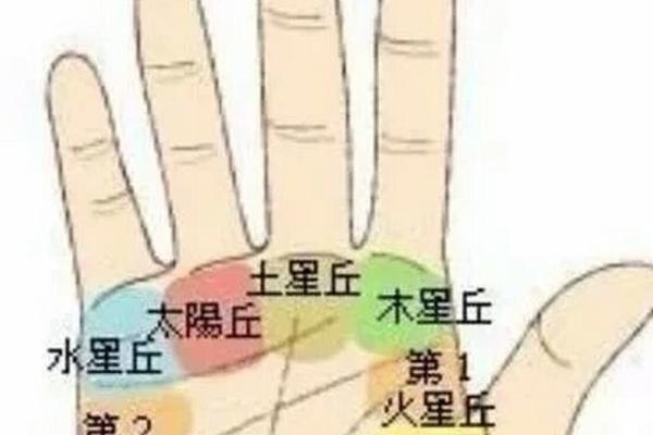 手指形状算命