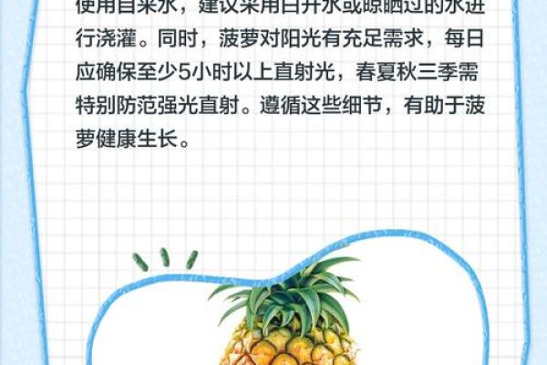 家居风水如何在家里种植菠萝为家庭带来好运