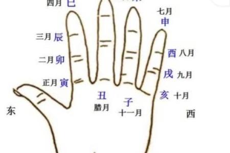 手指形状算命