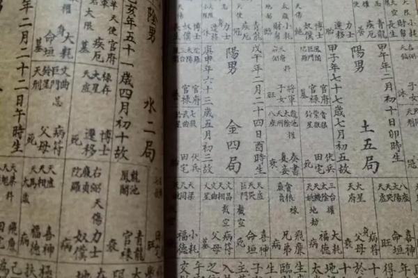 紫薇斗数庙地