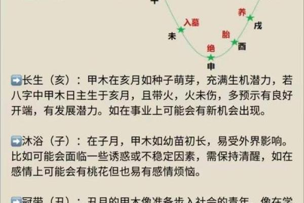 八字命理中十二长生的应用方法与速断口诀
