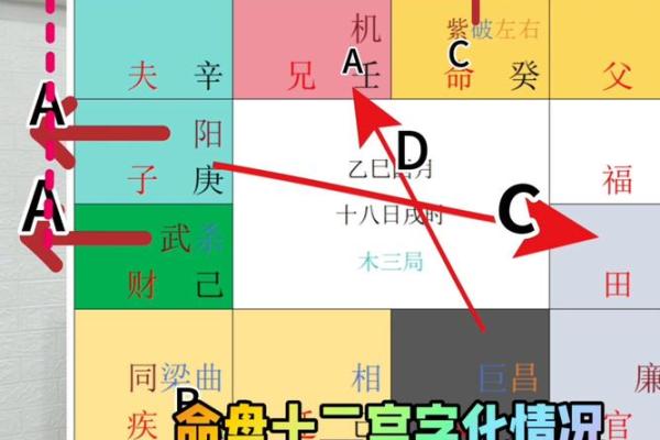 孔子紫薇斗数