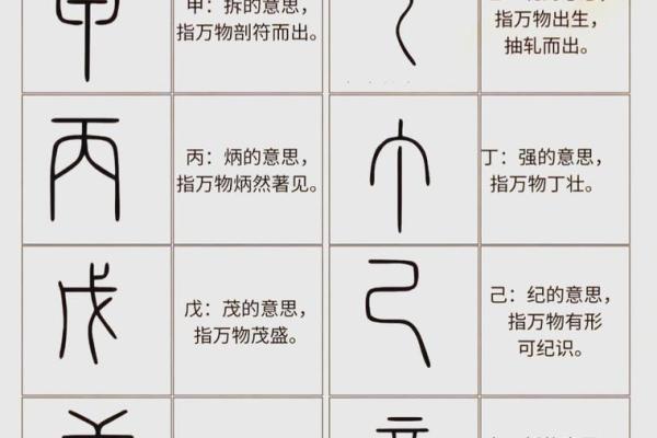 调侯八字