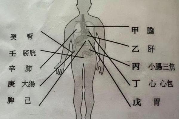 八字治疗法