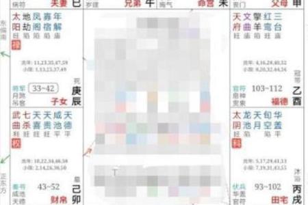紫薇斗数真实案例知乎