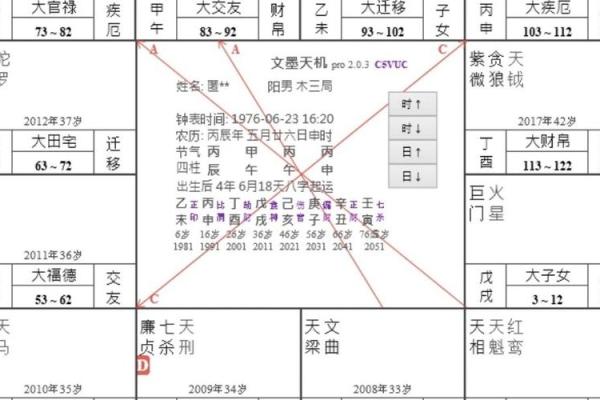 紫薇斗数用神详解