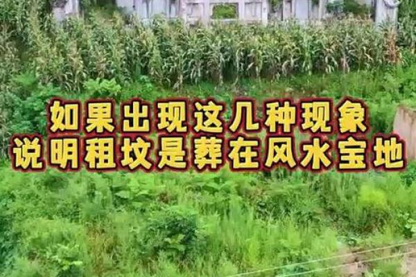 葬到好风水的征兆