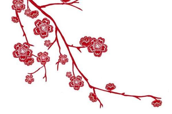 梅花窗花风水