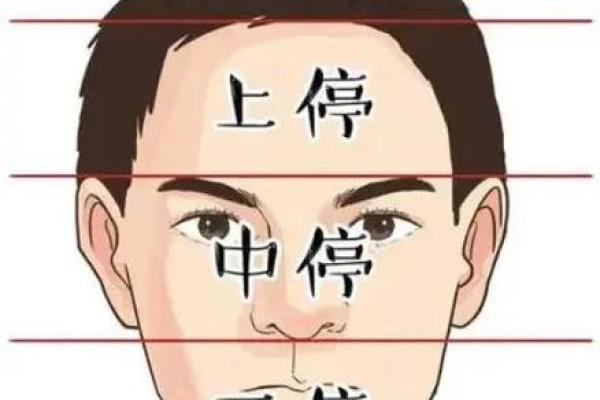 面相算命入门：三停，什么是三停？