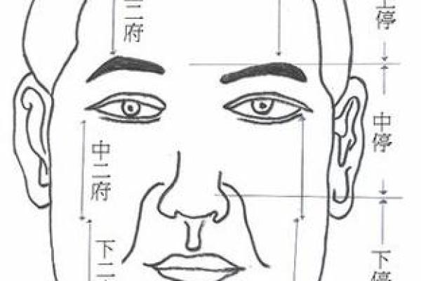 面相算命入门：三停，什么是三停？