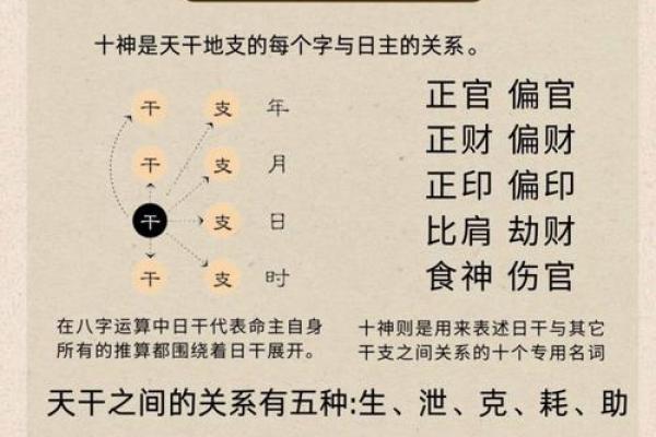 八字月柱的含义 八字月柱代表哪些含义