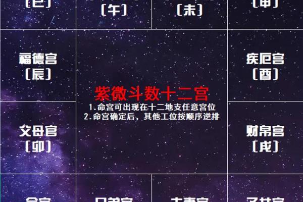 紫微斗数之十二宫分属阴阳