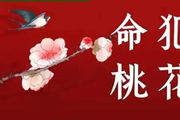 神煞里有桃花是什么意思,桃花神煞在四柱(详解 与桃花有关的八字命运)