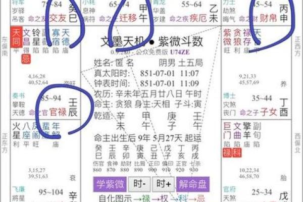 紫薇斗数主要看哪里