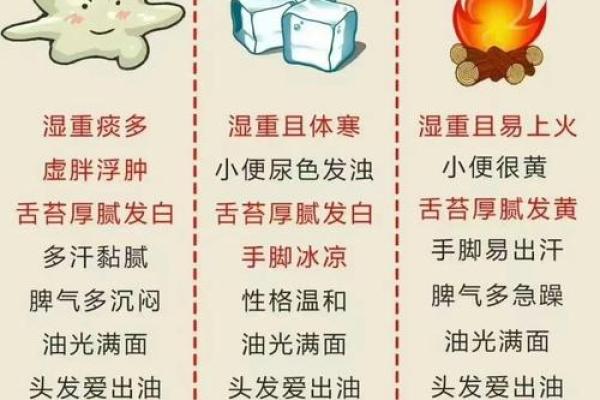 寒湿八字