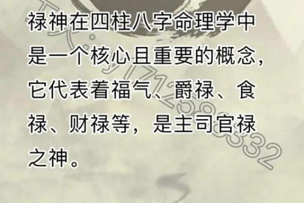 有禄的八字