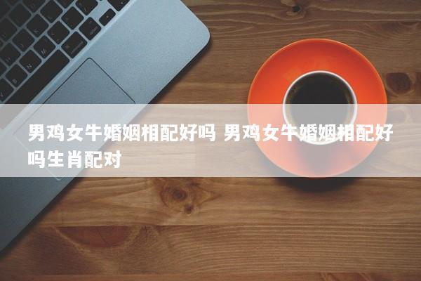 男鸡女牛婚姻相配好吗 男鸡女牛婚姻相配好吗生肖配对