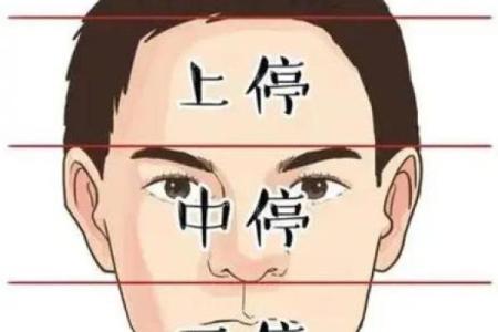 面相算命入门：三停，什么是三停？