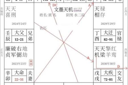 紫微斗数继父 紫微斗数看父母再婚？