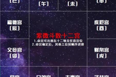 紫微斗数之十二宫分属阴阳
