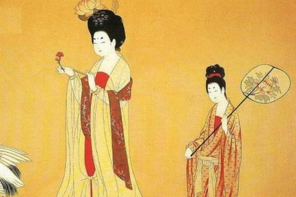 会紫薇斗数的人
