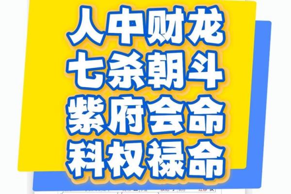 会紫薇斗数的人