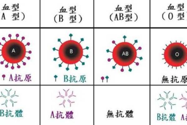 血型的搭配与夫妻关系