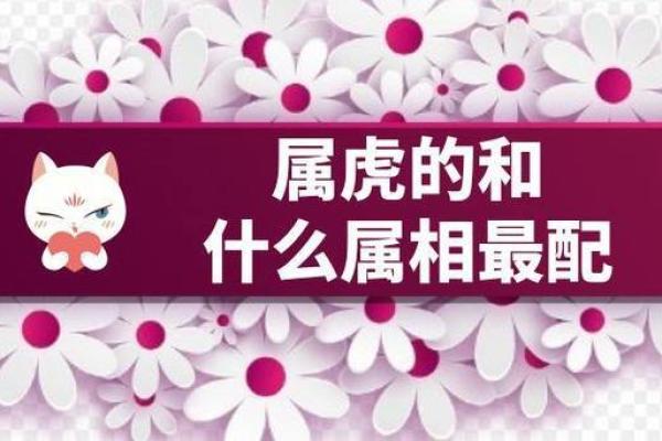 属虎和什么属相最配对 属虎和什么属相相冲
