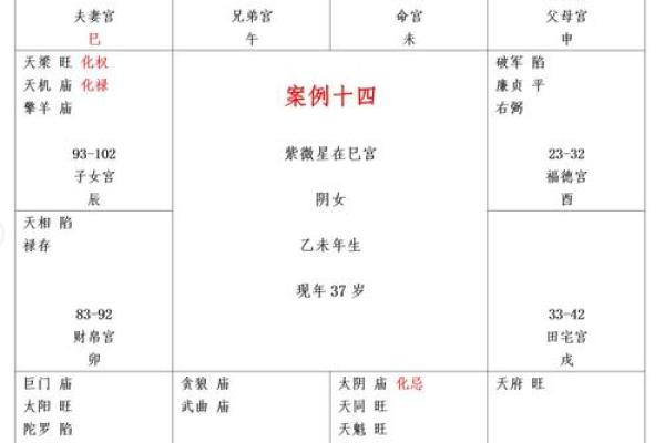 紫薇斗数死马