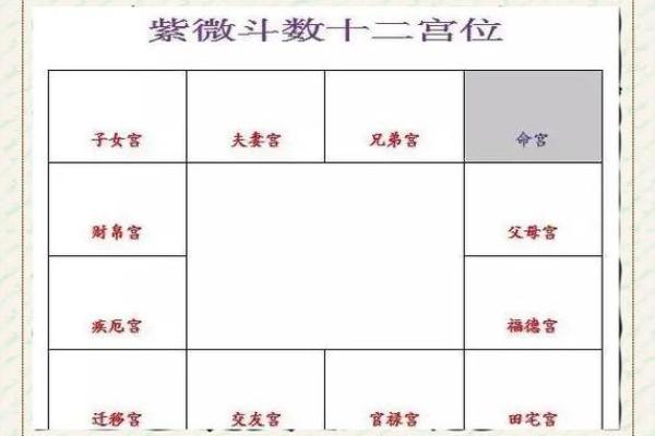 紫薇斗数两临宫