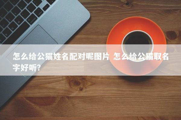 怎么给公猫姓名配对呢图片 怎么给公猫取名字好听？