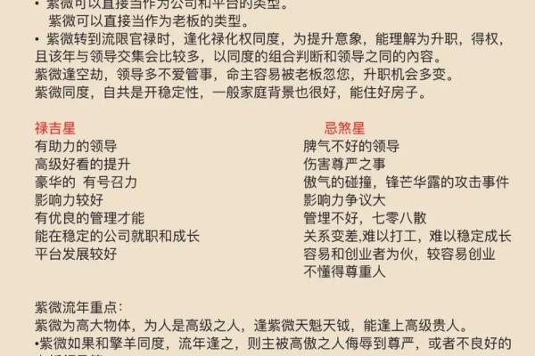 紫薇斗数中最准确的解释