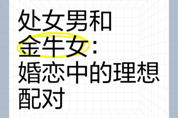 处女男和金牛女配对指数