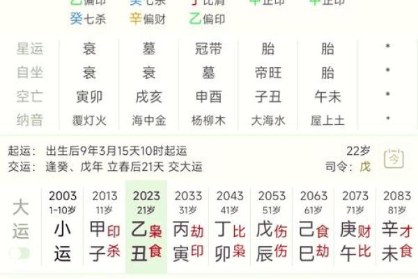 八字排盘分析