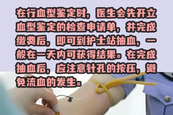 a型血和a型血会生出什么血型