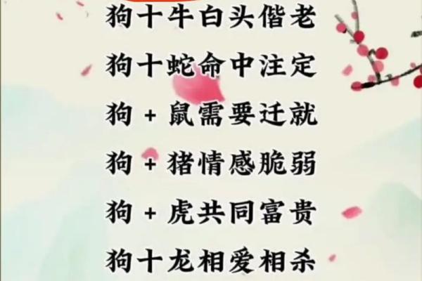 蛇男狗女两生肖相配吗 蛇男狗女配对可行吗