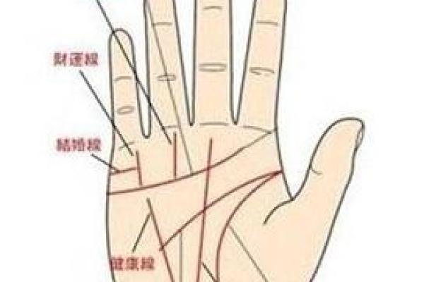 算命看手相算命图解 女性子女线