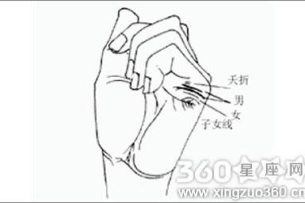 算命看手相算命图解 女性子女线