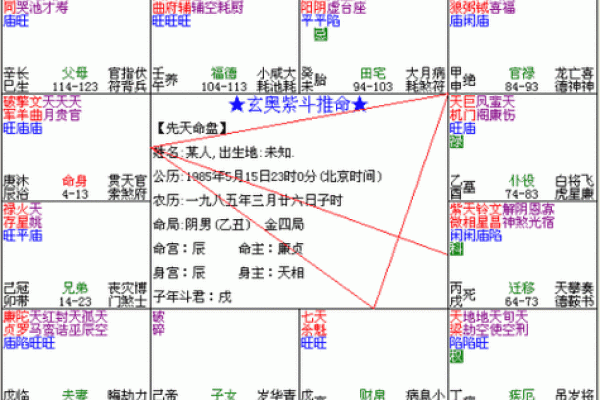 银行紫微斗数 紫微斗数经典格局？