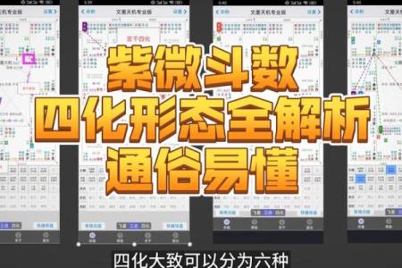 紫微斗数之河洛四化分析论断的基本方法：纵横分析论断法