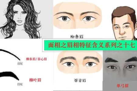 面相图解-弓丧眉算命及性格特征