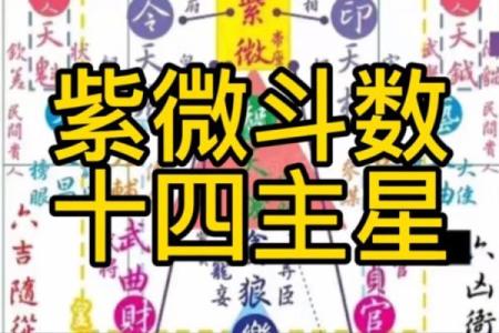 紫薇斗数豆瓣