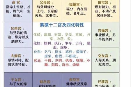 紫薇斗数中多个星哪个为主星