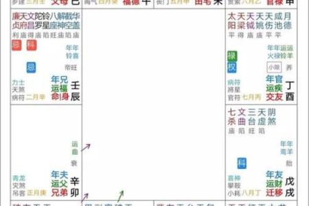 紫薇斗数中最准确的解释