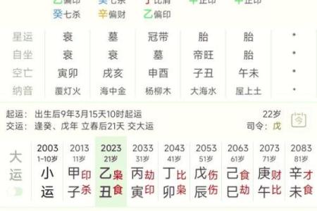 八字排盘分析