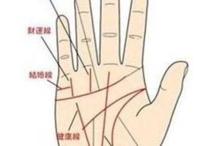 算命看手相算命图解 女性子女线