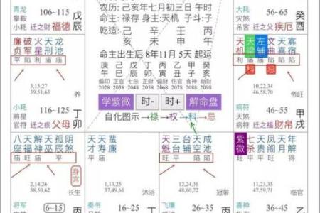 紫微斗数诸星落命宫之：左辅星、右弼星详解